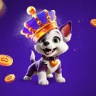 Irwin Casino Review