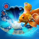 Avis sur Volna Casino